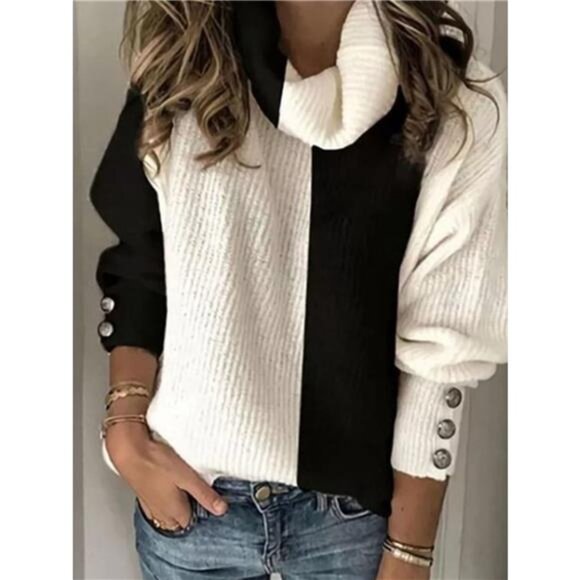 Full Size Two-Tone Turtleneck Long Sleeve Sweater Plus Size - Picture 1 of 3